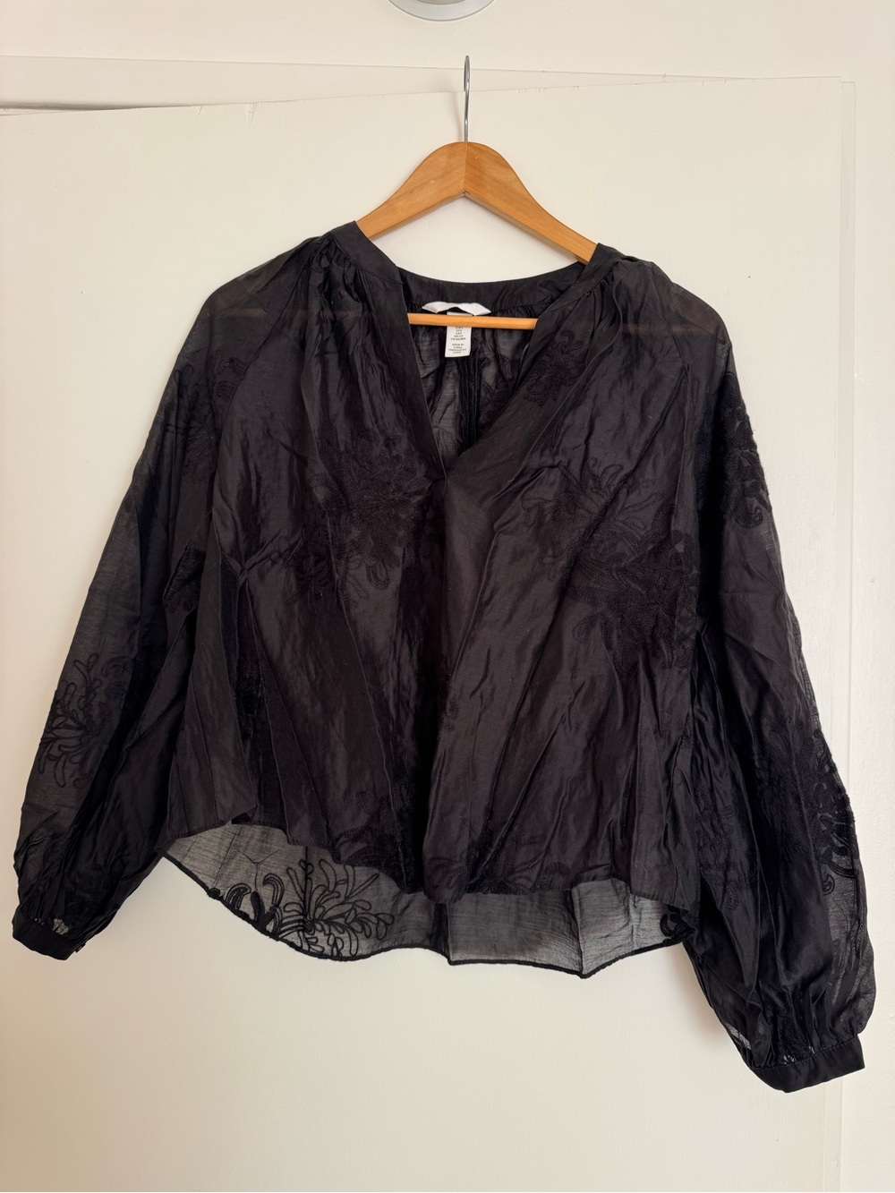 H&M Black Sheer V-Neck Embroidered Blouse